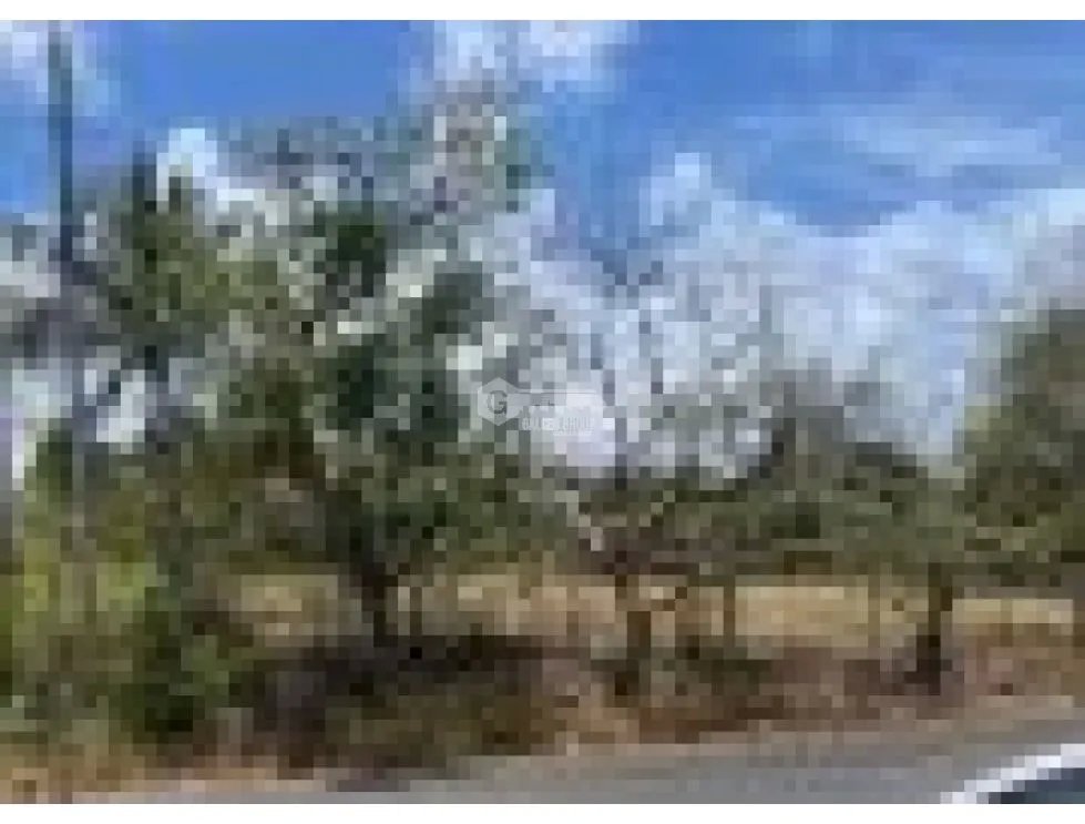 SE VENDE TERRENO EN CORONADO PLANO CERCA A LA VIA PRINCIPAL DE 11000M
