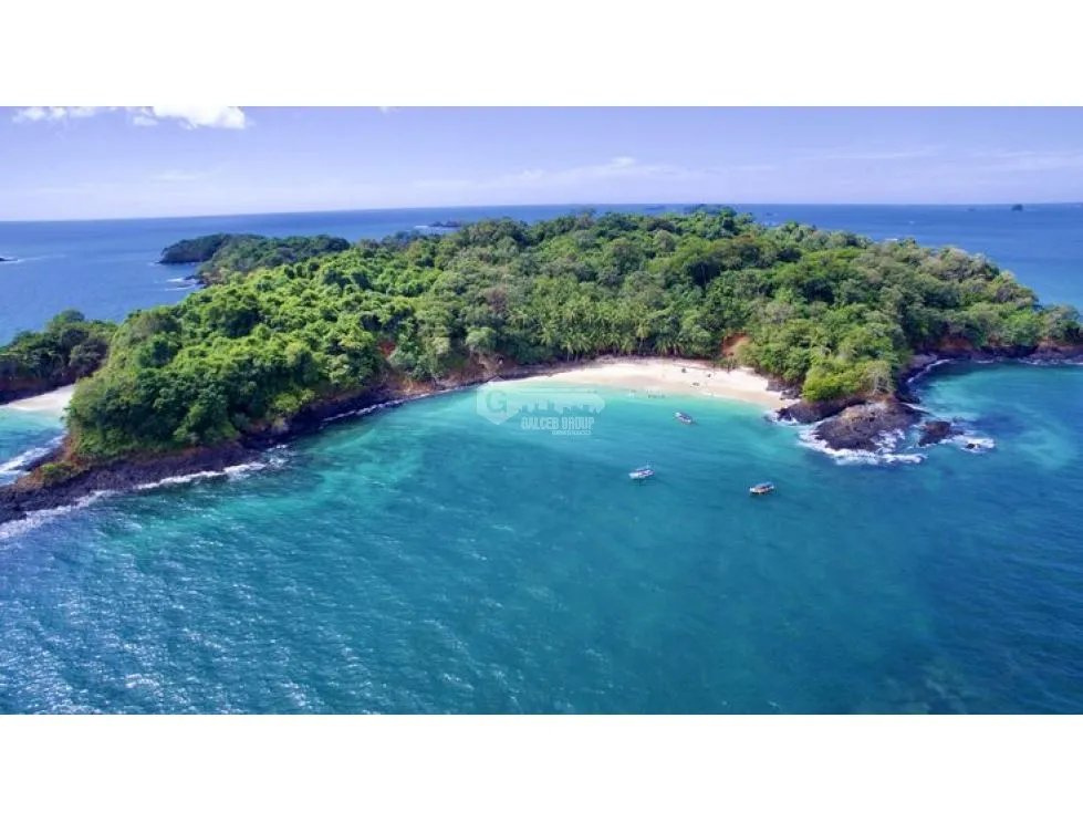 SE VENDE ISLA COMPLETA EN EL  GOLFO DE CHIRIQUI  DE 8 HECTAREAS