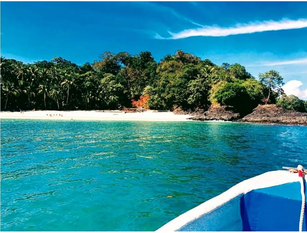 ISLA COMPLETA / GOLFO CHIRIQUI / 8 HECTAREAS + 4000m2 / NEGOCIABLE