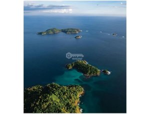 Land/Farm for sale in Chiriqui