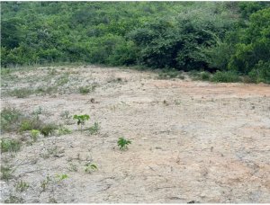 SE VENDE TERRENO EN CHAME 1,111 M2 VIA A...