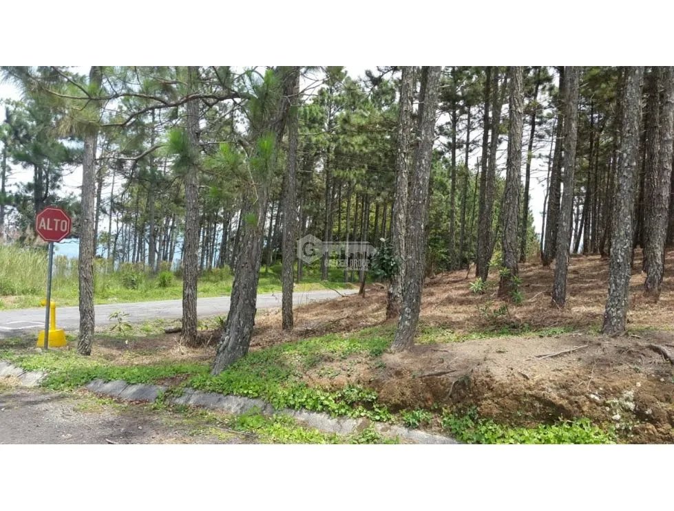 CHAME / SORÁ / ALTOS DEL MARIA / 2497 M2 / LOTE PLANO