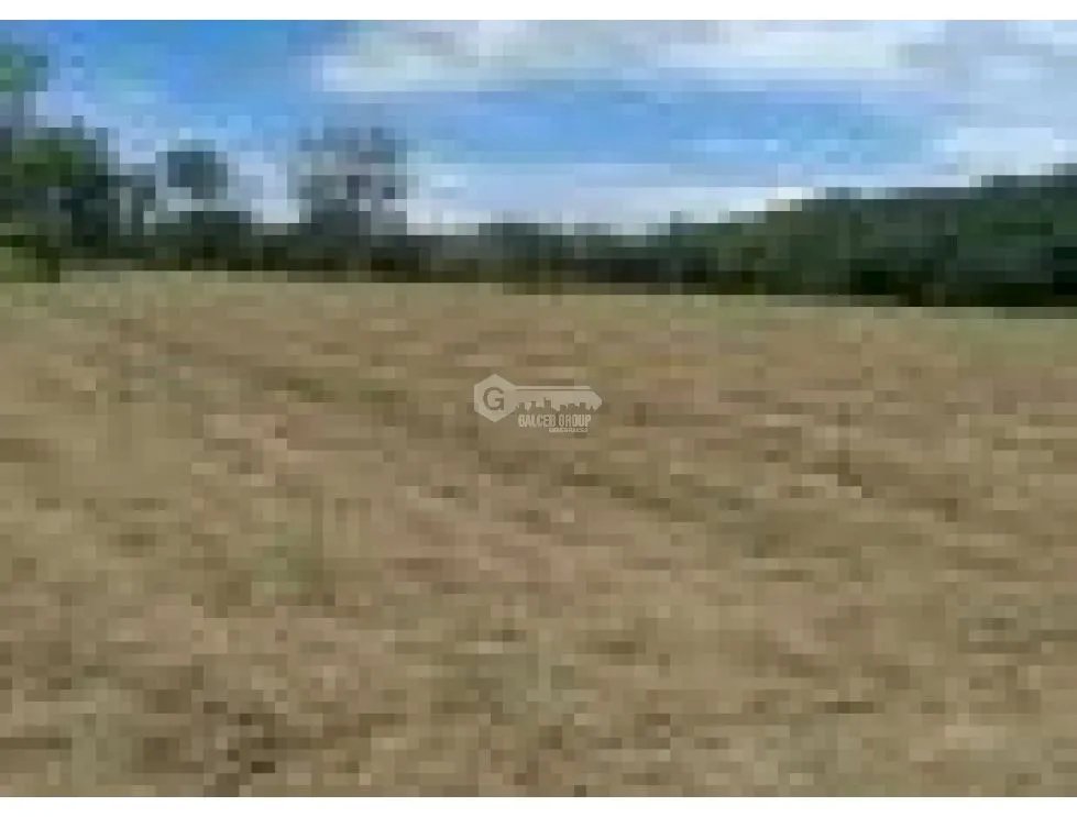 TERRENO / CORONADO / 37,789M2 / DENTRO DE LA GARITA / BOULEVARD