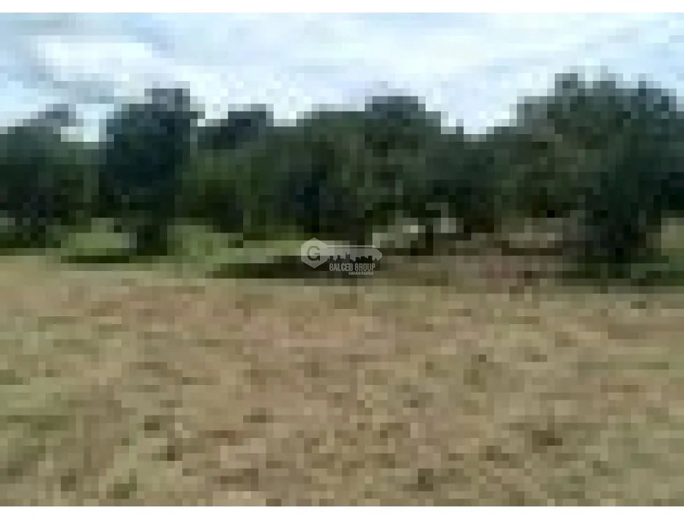 TERRENO / CORONADO / 37,789M2 / DENTRO DE LA GARITA / BOULEVARD