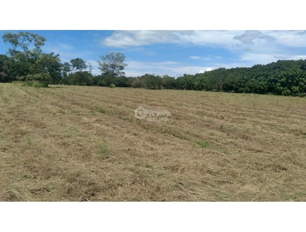 TERRENO / CORONADO / 37,789M2 / DENTRO DE LA GARITA / BOULEVARD