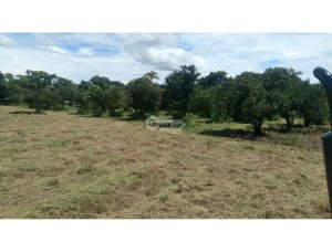 Building Lot for sale in Coronado