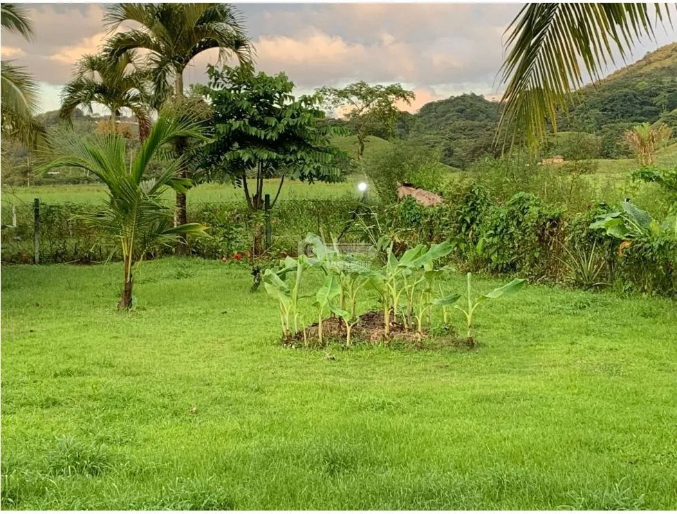 PORTOBELO COLON / NUEVO TONOSI / CASA CON RESTAURANTE / 1 HECT