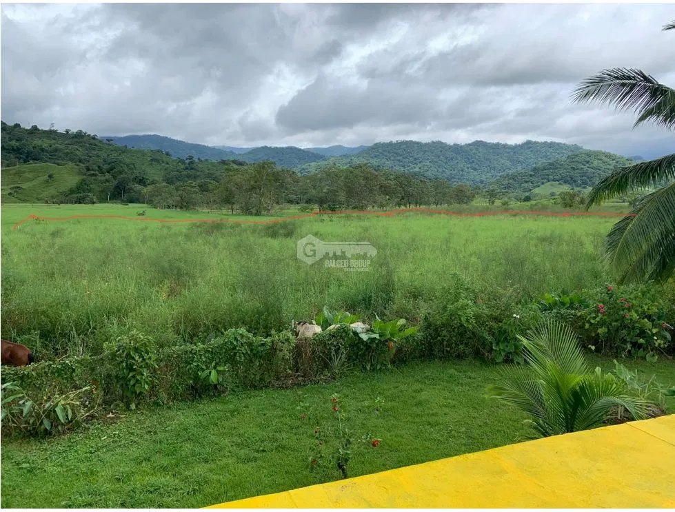 PORTOBELO COLON / NUEVO TONOSI / CASA CON RESTAURANTE / 1 HECT