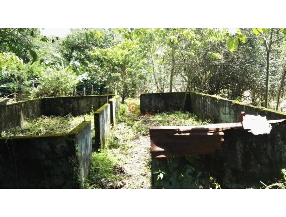 FINCA / 1 HECTAREA / PALMIRA ABAJO / BOQUETE / CHIRIQUI