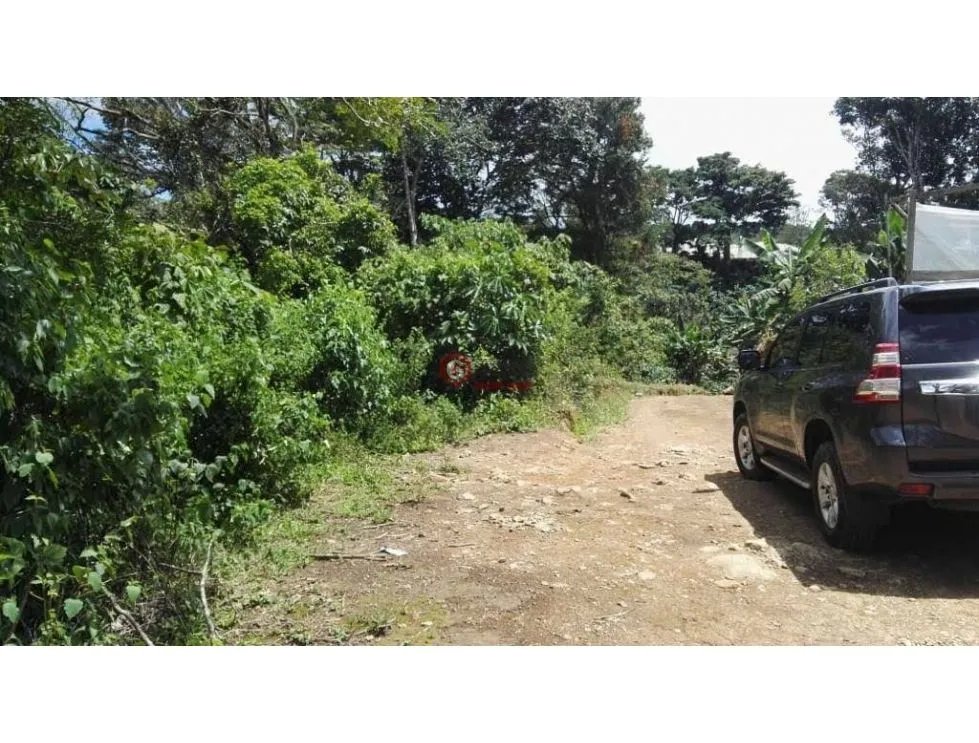 FINCA / 1 HECTAREA / PALMIRA ABAJO / BOQUETE / CHIRIQUI