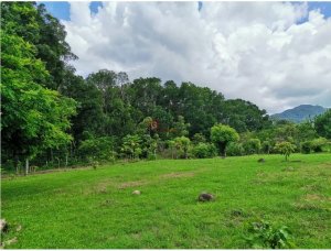 CHAME / FINCA EN BEJUCO / 10 HECTAREAS /...