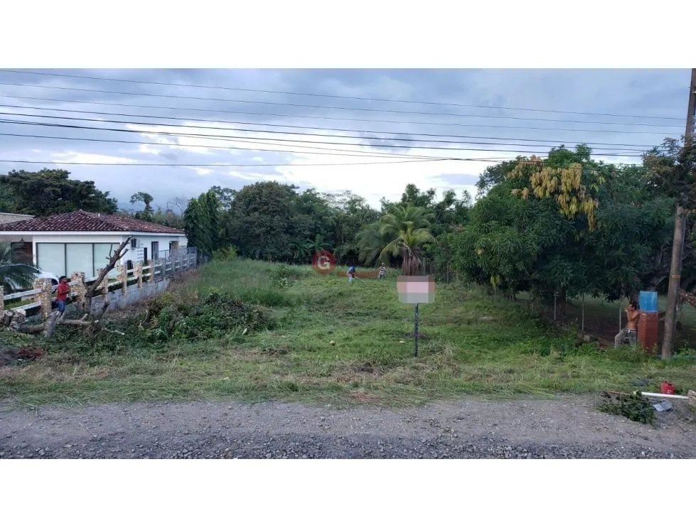 TERRENO / CORONADO / AVE. BOULEVARD / 1000m2 / NEGOCIABLE