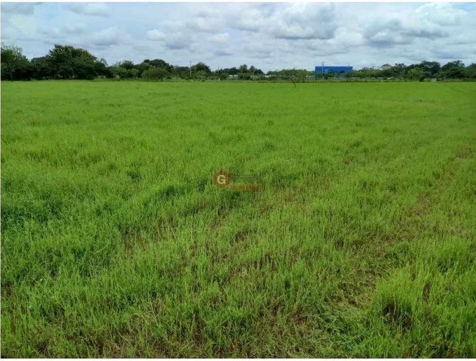 TERRENO COMERCIAL VIA INTERAMERICANA / LA MESA DE VERAGUAS / 15000m2