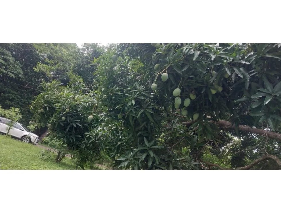 Building Lot for sale in Chame