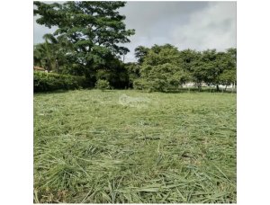 Building Lot for sale in Coronado