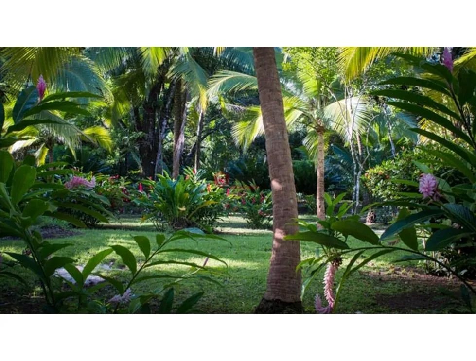Building Lot for sale in Colon