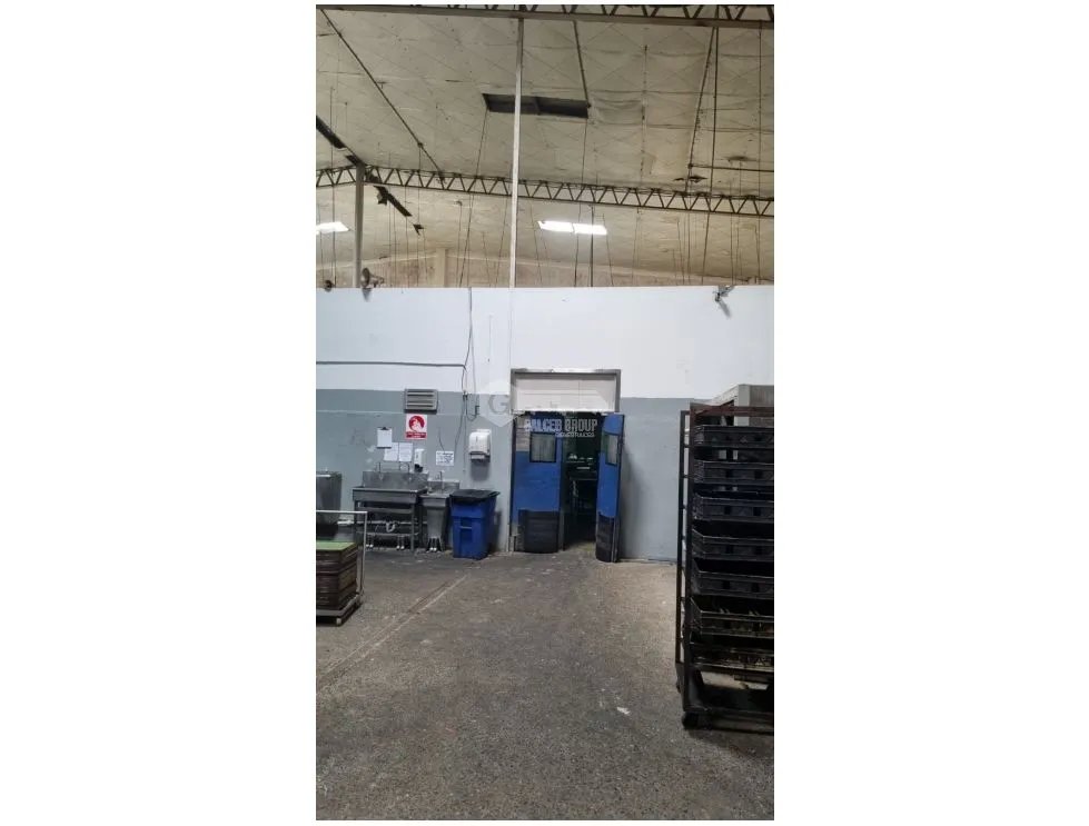 Commercial Space for rent in Juan Diaz