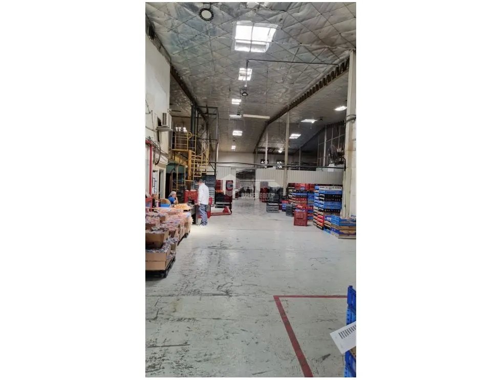 Commercial Space for rent in Juan Diaz