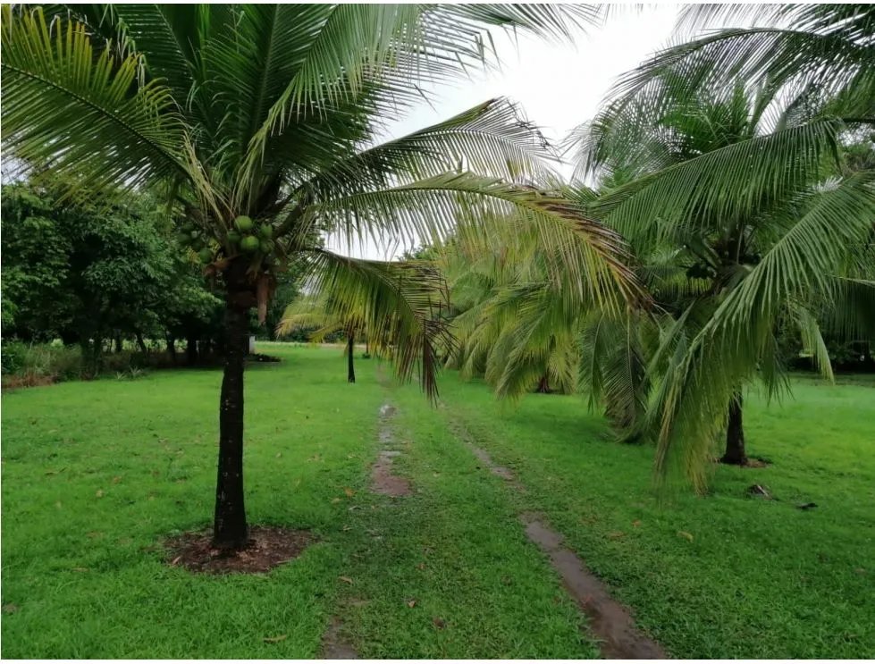 TERRENO / CORONADO BOULEVARD / 3 FINCAS / CERCA DEL MAR