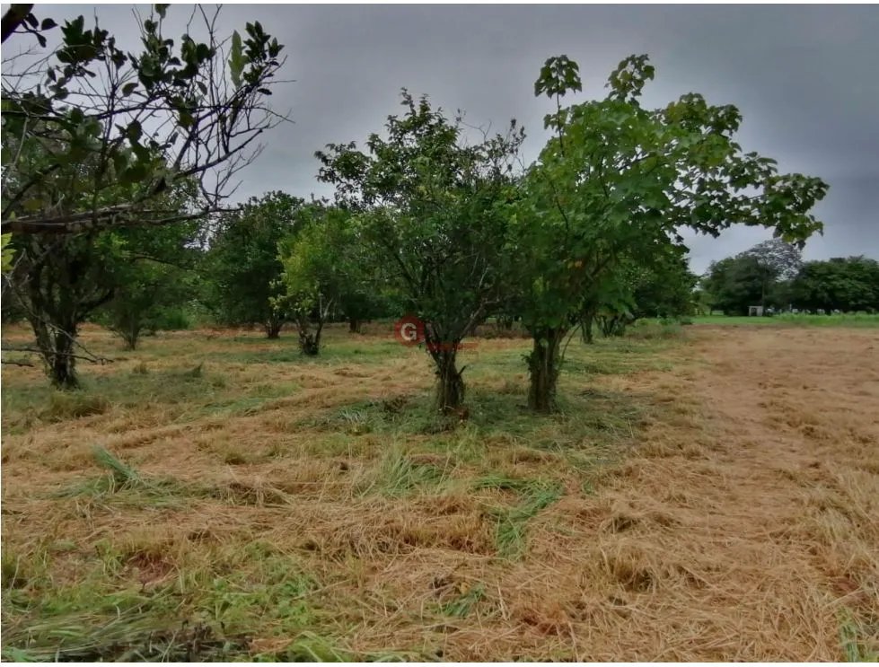 TERRENO / CORONADO BOULEVARD / 3 FINCAS / CERCA DEL MAR