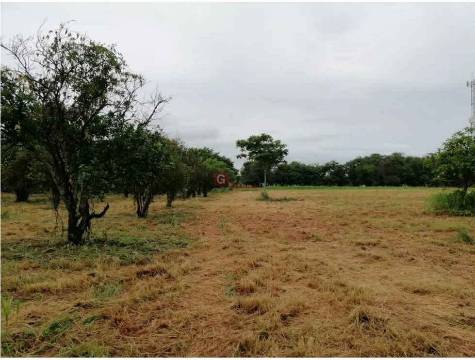 TERRENO / CORONADO BOULEVARD / 3 FINCAS / CERCA DEL MAR