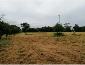 Land/Farm for sale in Coronado