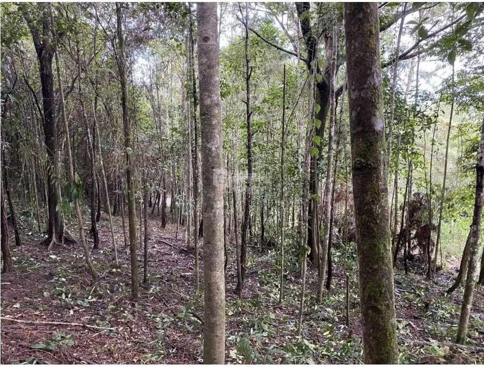 CERRO AZUL / FINCA ALTOS DEL GUARDIAN / 1844 M2