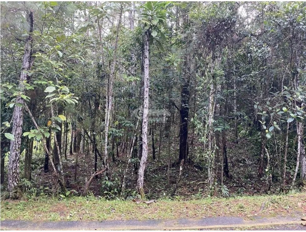CERRO AZUL / FINCA ALTOS DEL GUARDIAN / 1844 M2