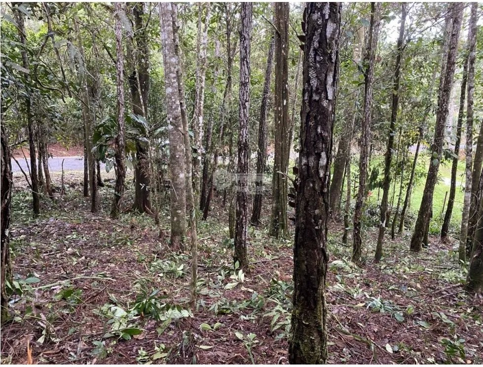 CERRO AZUL / FINCA ALTOS DEL GUARDIAN / 1844 M2