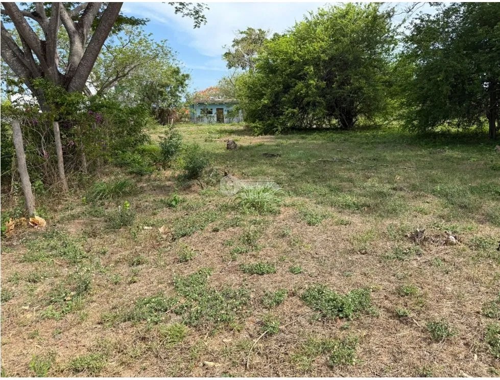 TERRENO / PLAYA MALIBU / 1000m2 / SEGUNDA LINEA DEL MAR