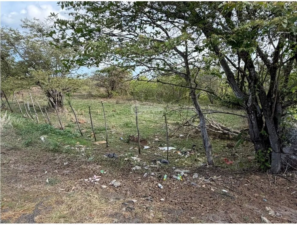 SE VENDE FINCA VIA ALTOS DEL MARIA DE 30 HECTAREAS  FRENTE A CALLE