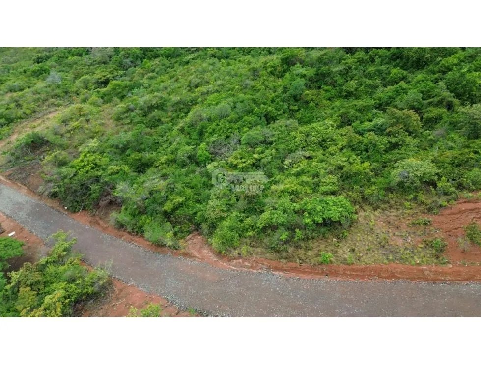 Building Lot for sale in San Carlos