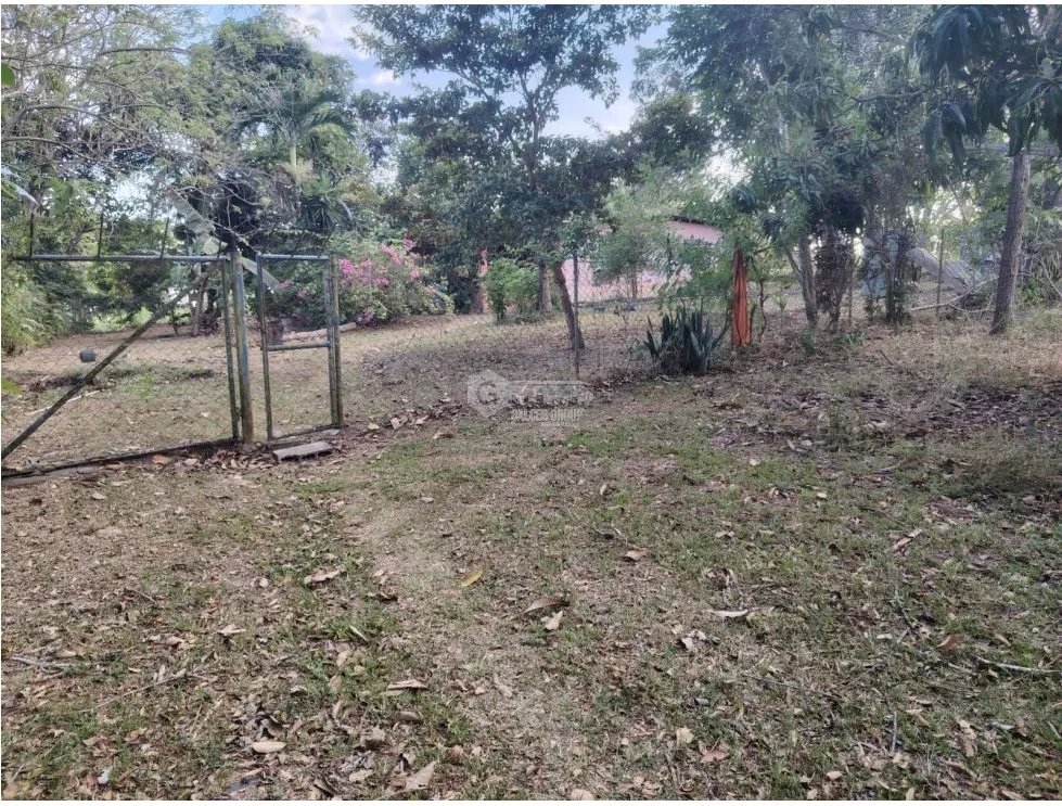 SE VENDE TERRENO EN RIO HATO TOTALMENTE PLANO IDEAL PARA INVERSION