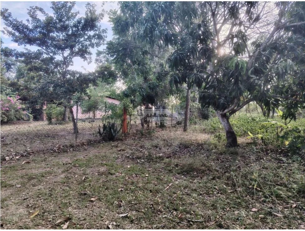 SE VENDE TERRENO EN RIO HATO TOTALMENTE PLANO IDEAL PARA INVERSION