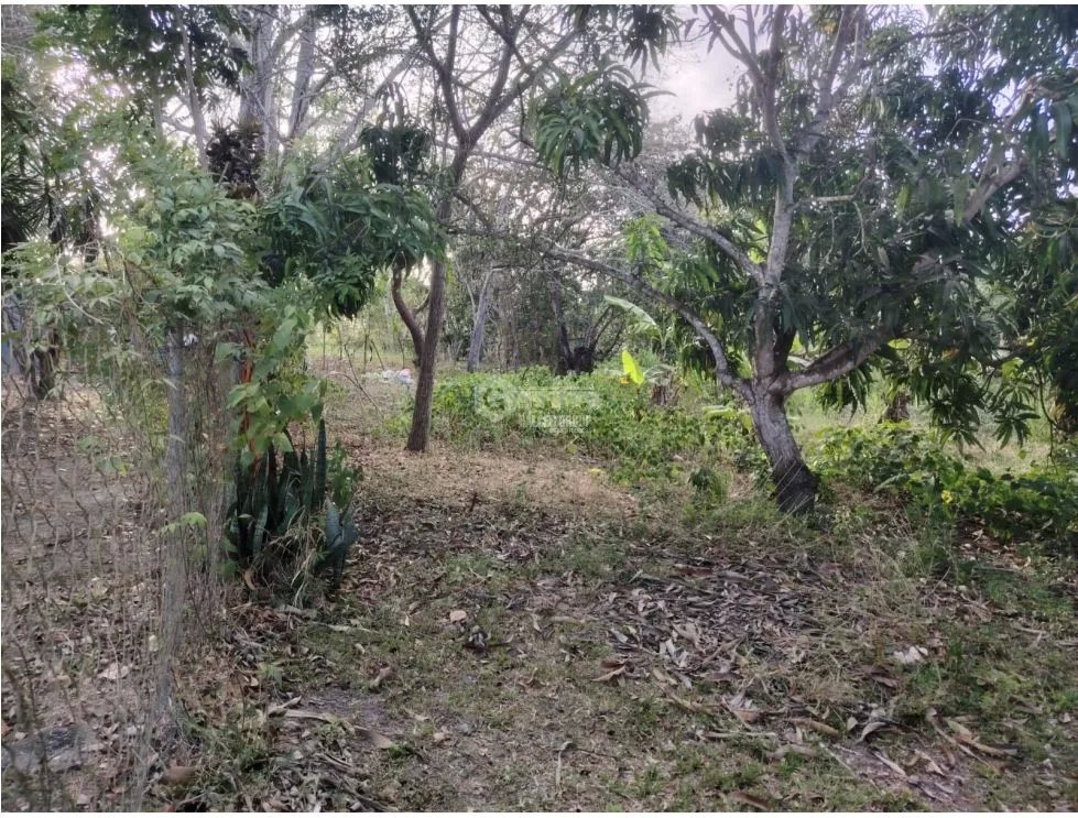 Building Lot for sale in Rio Hato