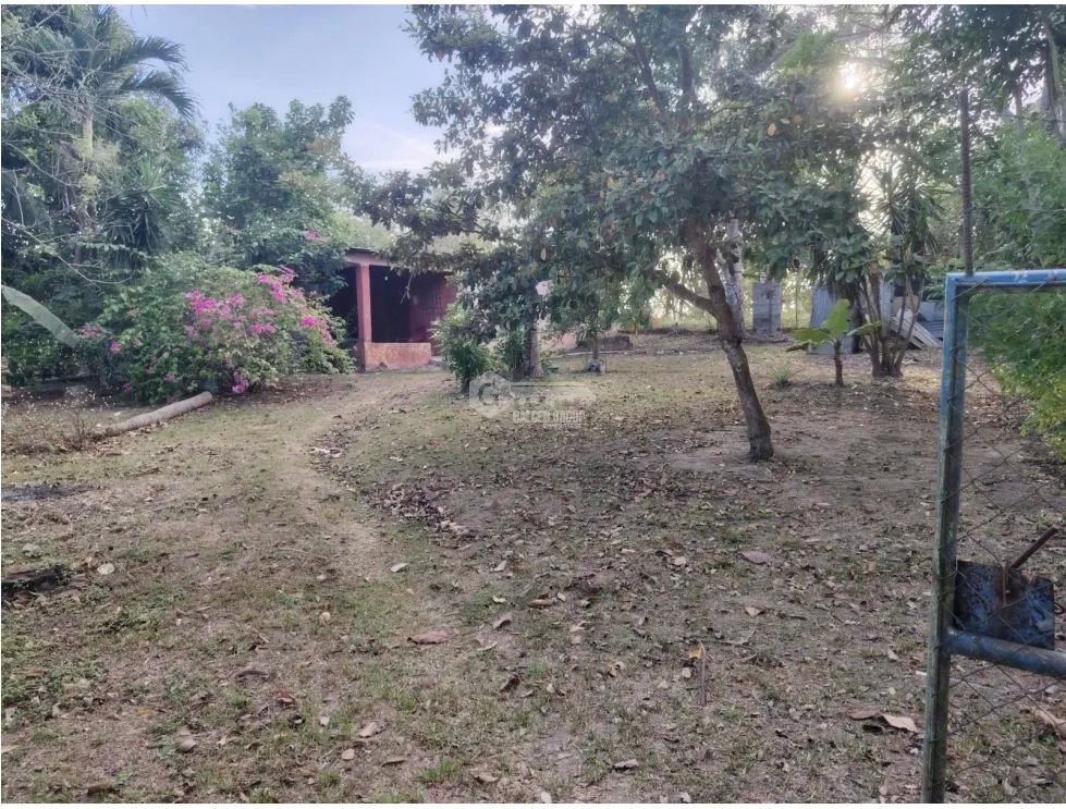 COCLE / RIO HATO /1021M / TOTALMENTE PLANO / IDEAL PARA INVERSION