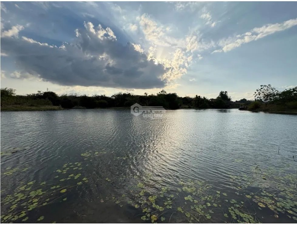 Building Lot for sale in San Carlos