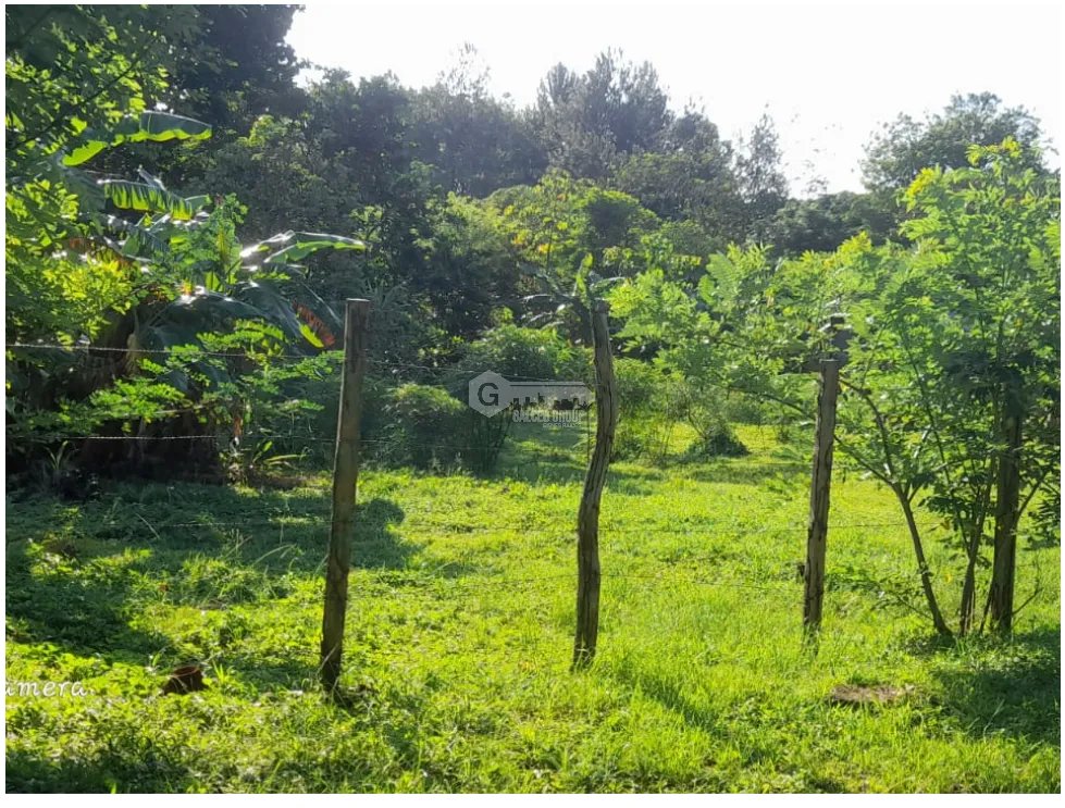 CHAME / SORÁ / 786M / TERRENO / SOBRE CALLE / IDEAL PARA DESARROLLO