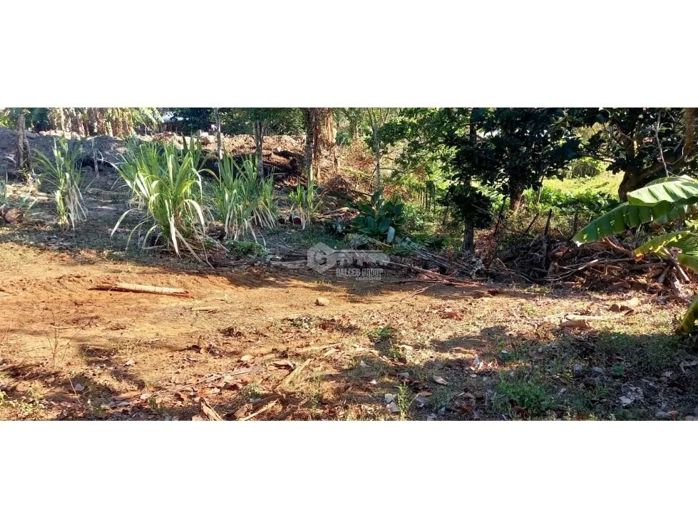 CHAME / SORÁ / 786M / TERRENO / SOBRE CALLE / IDEAL PARA DESARROLLO