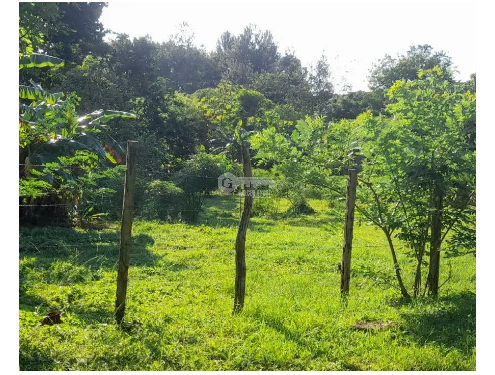 CHAME / SORÁ / 786M / TERRENO / SOBRE CALLE / IDEAL PARA DESARROLLO