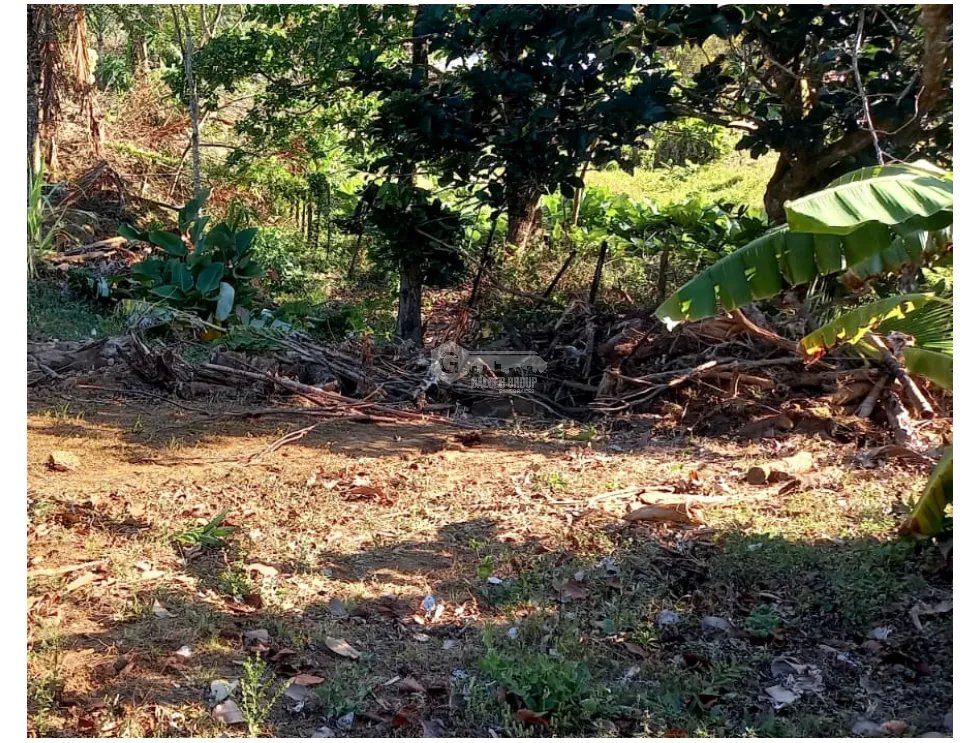 CHAME / SORÁ / 786M / TERRENO / SOBRE CALLE / IDEAL PARA DESARROLLO