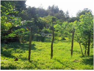 Building Lot for sale in Sora