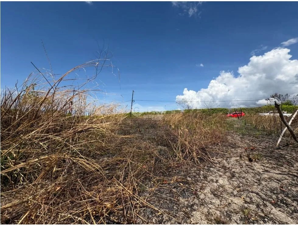 SE VENDE TERRENO EN PIEDRAS GORDAS SAN CARLOS CERCA A PANAMERICANA