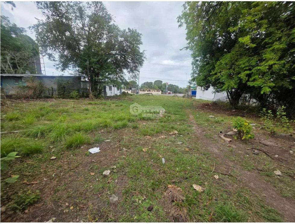 SE VENDE TERRENO PLANO EN CHAME COLONCITO SOBRE VIA INTERAMERICANA