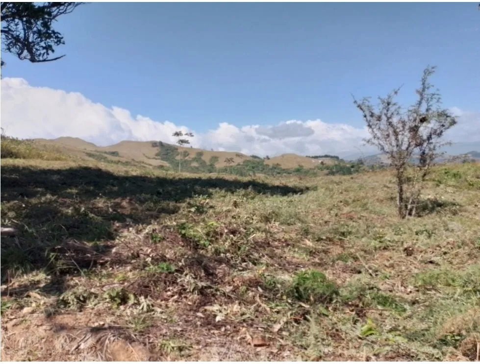 SE VENDE TERRENO EN LA LAGUNA DE SAN CARLOS IDEAL PARA DESARROLLO