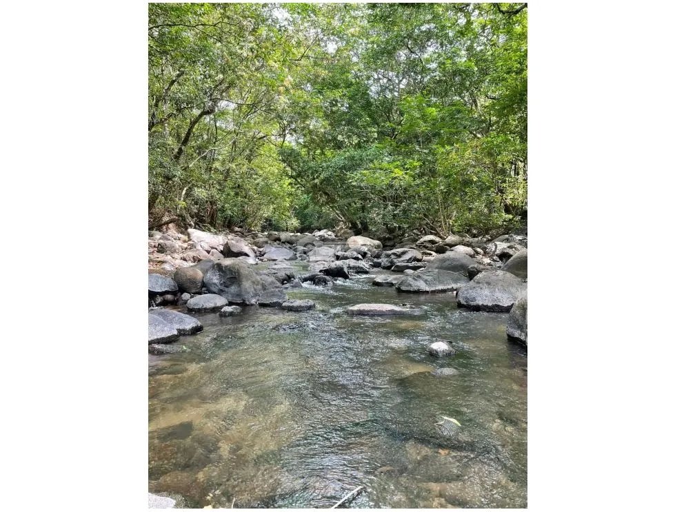 SE VENDE TERRENO EN LA LAGUNA DE SAN CARLOS IDEAL PARA DESARROLLO