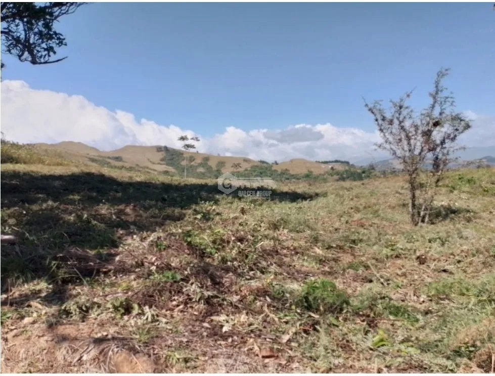 SE VENDE TERRENO EN LA LAGUNA DE SAN CARLOS IDEAL PARA DESARROLLO