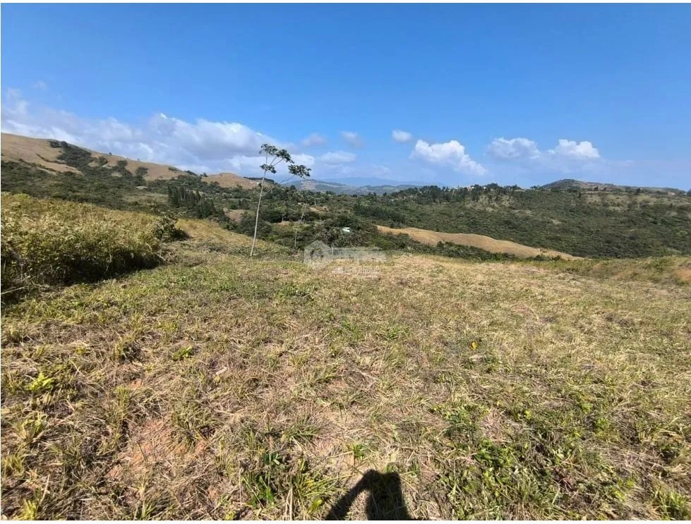 SAN CARLOS / LA LAGUNA / 4019M / VISTA AL MAR / PARA DESARROLLO