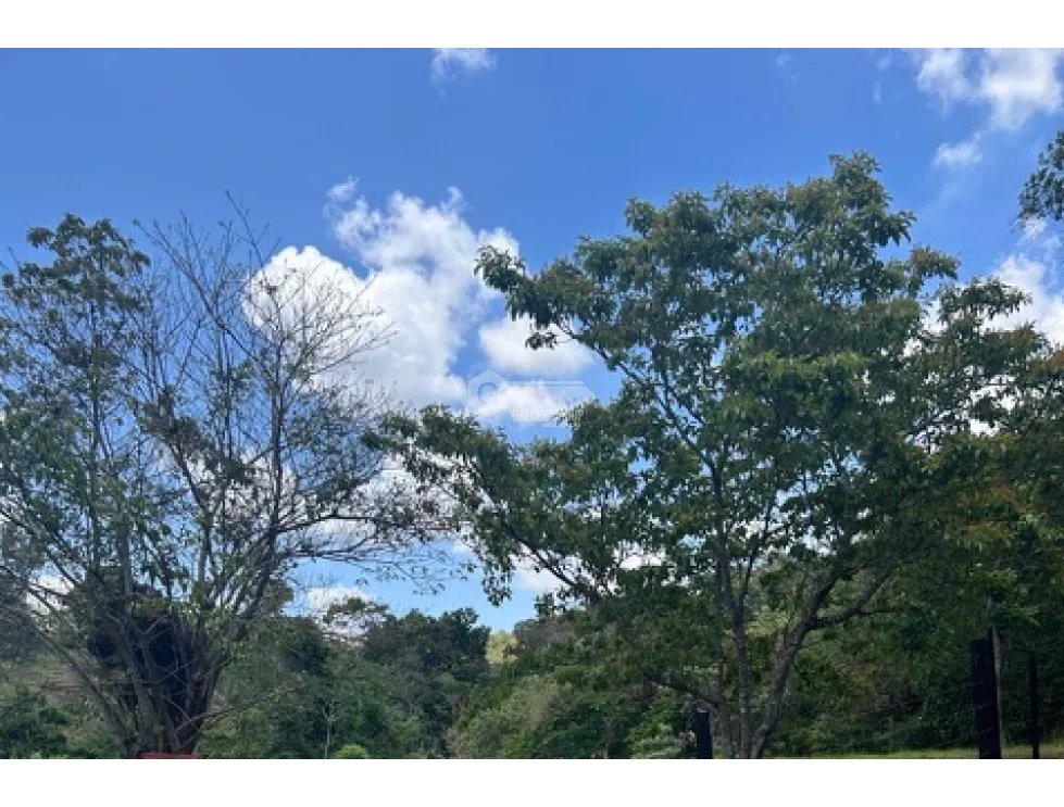 Building Lot for sale in Guadalupe