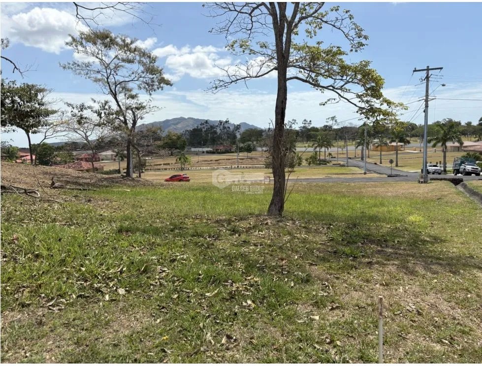 SE VENDE TERRENO EN CHAME PH COLONIA BRISAS DEL CELAJE CON AREA SOCIAL
